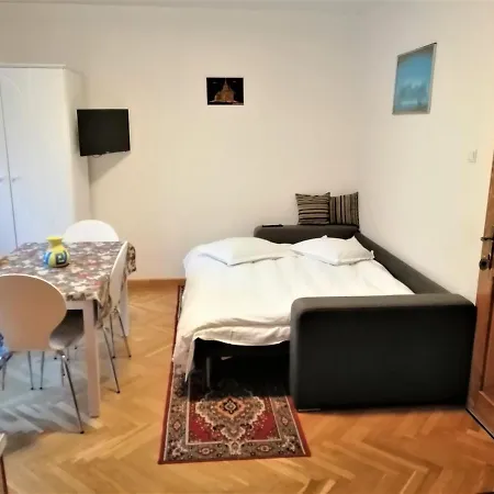Guest house Liana Brasov
