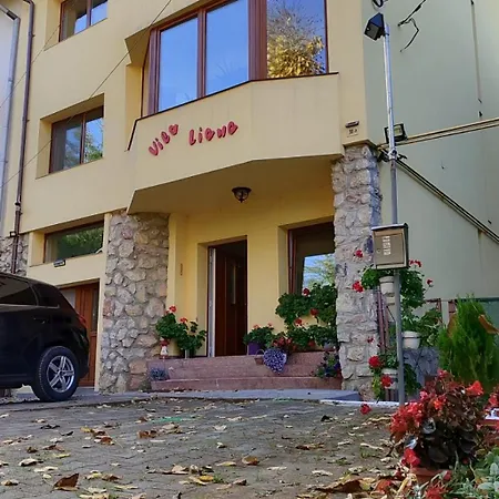 Liana 3* Brasov