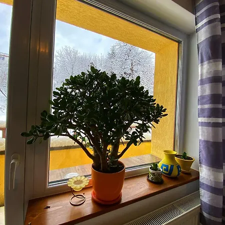 Liana Guest house 3*