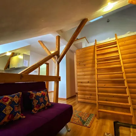 Liana Guest house Brasov