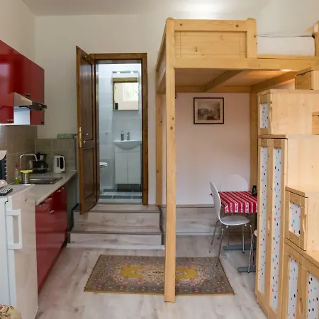 Liana Guest house Brasov