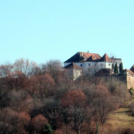 Liana Guest house Brasov